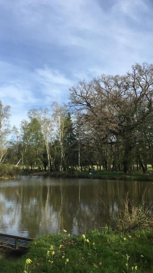 Le Gite Du Petit Renard: A Tranquil Gite With Pool Oradour-Saint-Genest Екстер'єр фото