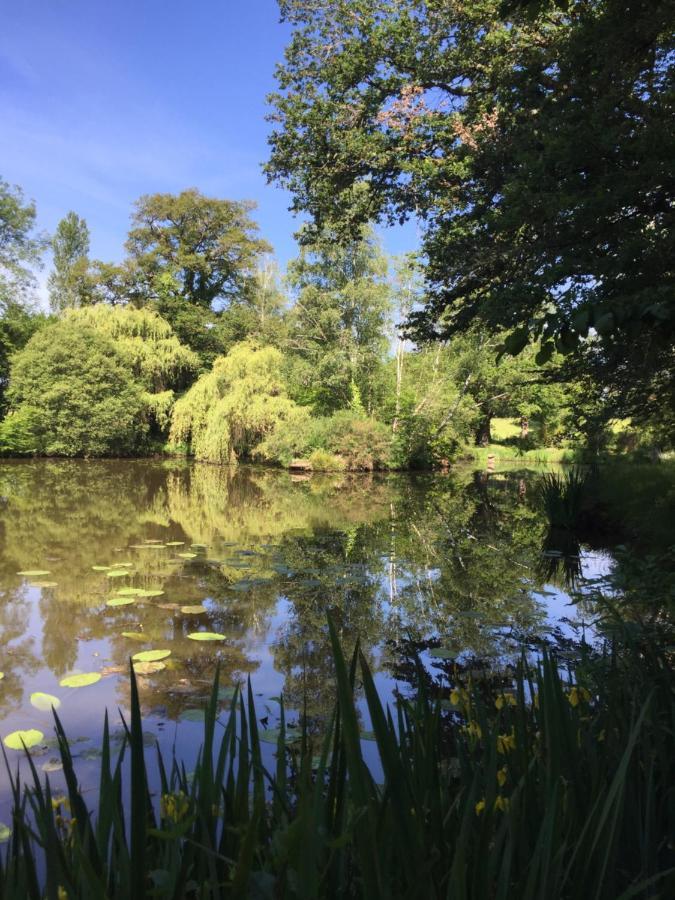 Le Gite Du Petit Renard: A Tranquil Gite With Pool Oradour-Saint-Genest Екстер'єр фото