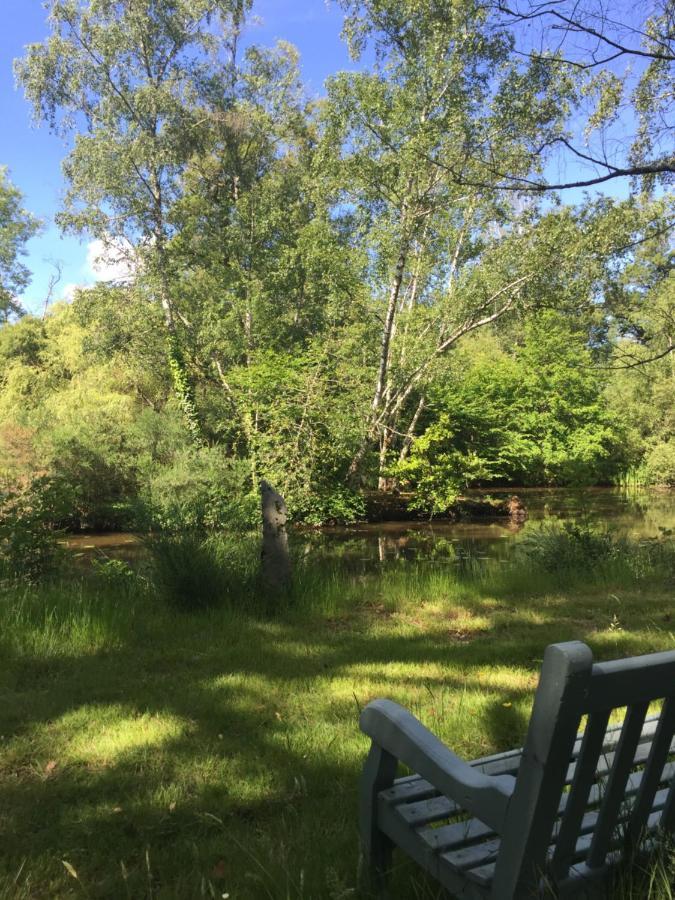 Le Gite Du Petit Renard: A Tranquil Gite With Pool Oradour-Saint-Genest Екстер'єр фото